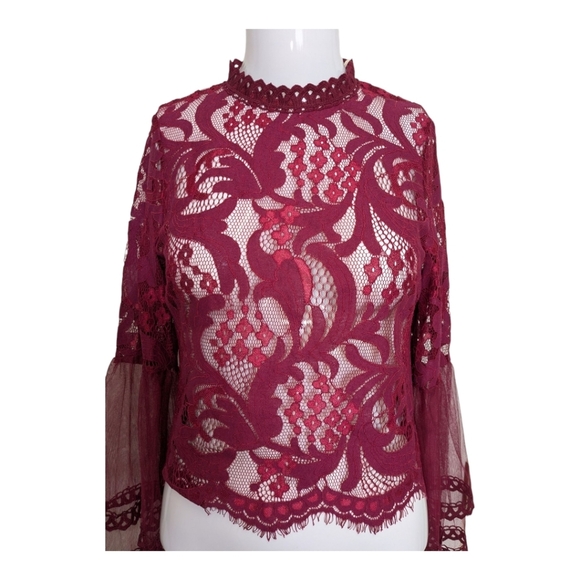 Raspberry Red Long Sleeve Lace Sheer Blouse Whimsy Goth Victorian - Picture 4 of 6